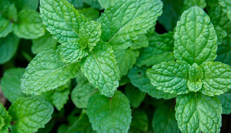 diy sugar scrubs,skin care tips,beauty tips