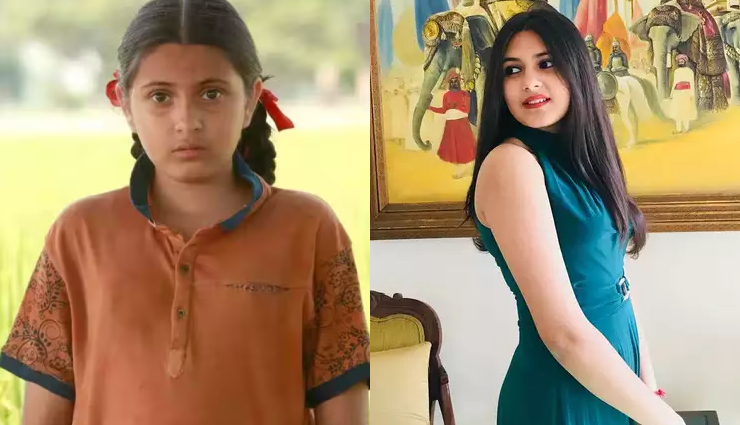 ‘दंगल’ फेम सुहानी भटनागर का निधन, फैंस को लगा सदमा, दुख में डूबे आमिर खान और नितेश तिवारी ने दी श्रद्धांजलि