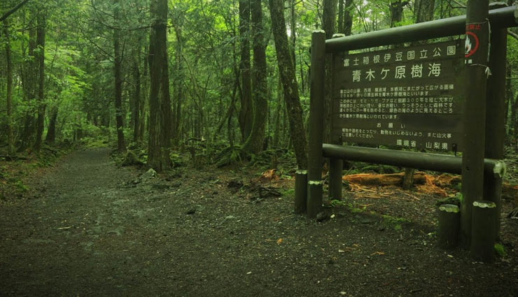 सुसाइड फ़ोरेस्ट के नाम से मशहूर है यह जंगल