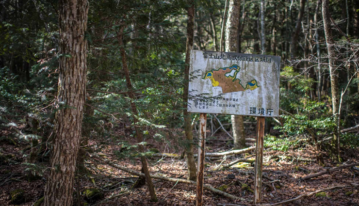 अनोखा जंगल जहां भ्रमित हो जाता है सभी का दिमाग और कर बैठते हैं खुदकुशी