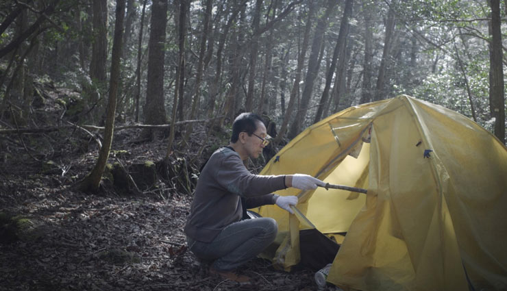 suicide forest of japan,travel,tourism,holidays,japan,weird place