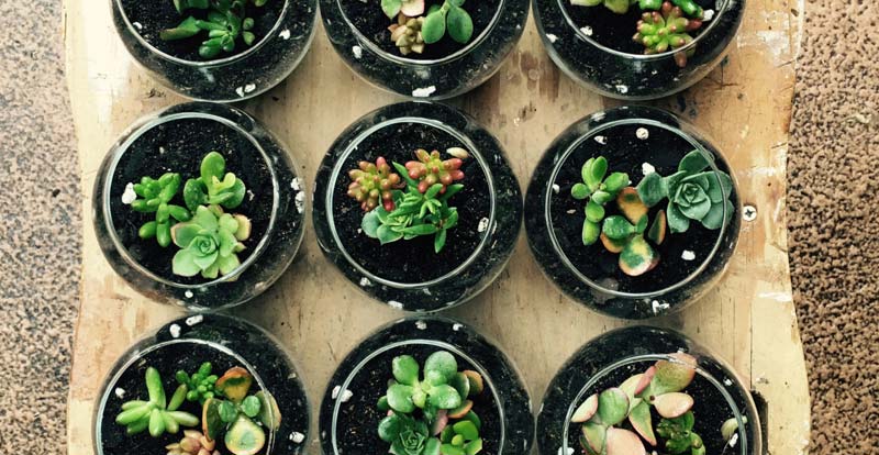 decorate house,decorate house tips,simple decoration tips