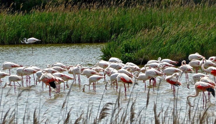 tourist places,indian tourist places,nera delhi trip,beautiful tourist places