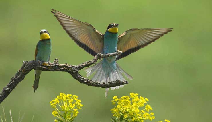 tourist places,indian tourist places,tourist places near delhi,coronavirus