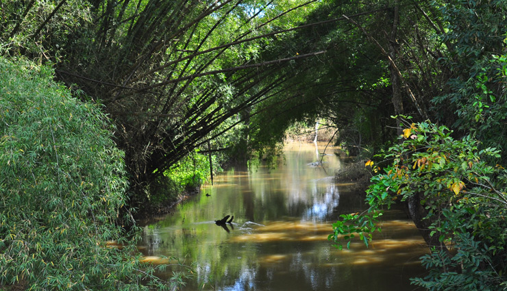 केरल में स्थित वायनाड की खूबसूरती का हर कोई दीवाना, हनीमून के लिए बेस्ट डेस्टिनेशन natural wonders in wayanad,wayanad hill stations and resorts,wayanad travel guide,popular destinations in kerala,wayanad wildlife sanctuaries,wayanad adventure tourism,charming places in wayanad,family-friendly attractions in wayanad,wayanad historical landmarks,cultural experiences in kerala,ecotourism in wayanad,wayanad offbeat destinations,best viewpoints in wayanad,wayanad waterfalls and lakes,wayanad trekking trails,best places to visit in wayanad,wayanad tourist attractions,kerala travel destinations,scenic spots in wayanad,must-visit places in kerala,wayanad hill stations,kerala nature tourism,historical sites in wayanad