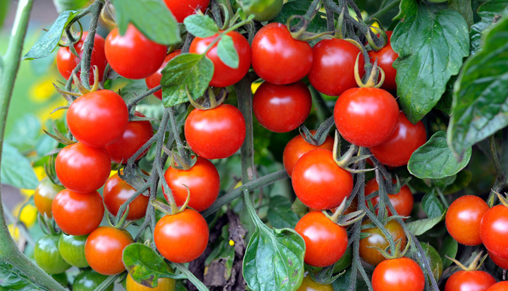 sun tan,home remedies for sun tan skin care tips,beauty tips