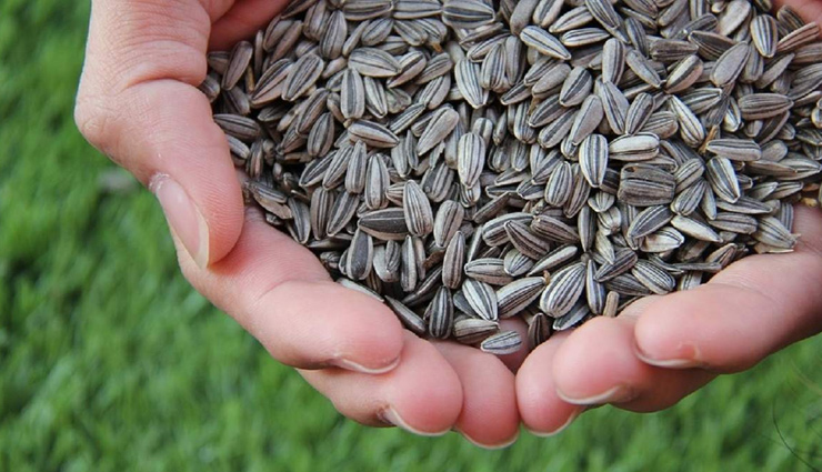 sunflower seeds,beauty benefits of sunflower seeds,beauty tips,skin care tips