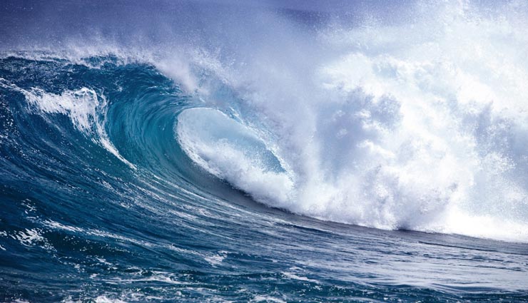 astrology tips,astrology tips in hindi,natural disasters,animals indication