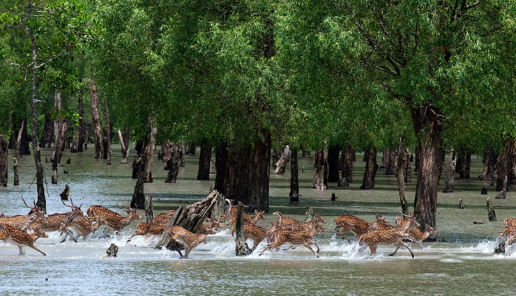 tourist places in bangladesh,bangladesh tourist places,bangladesh travel