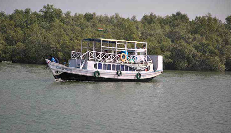 holidays,5 best cruise destinations in india,best cruise trips in india,cruise trips,the golden triangle cruise,andaman islands – glass bottom cruise,chilika lake cruise,sunderbans boat cruise,dibru-saikhowa river cruise