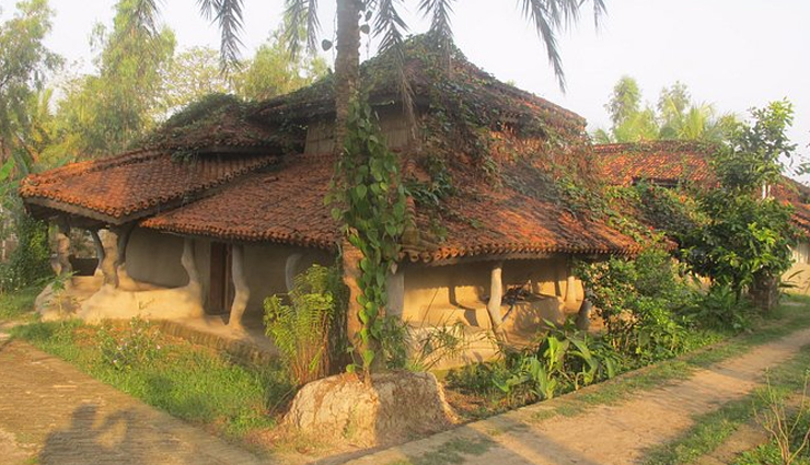 luxury jungle lodges in india,exotic wilderness experiences,super luxurious jungle retreats,premium wildlife lodgings,high-end jungle accommodations,india luxury eco lodges,exclusive jungle getaways,opulent forest lodges,top-tier exotic stays,ultra-luxurious indian jungle escapes