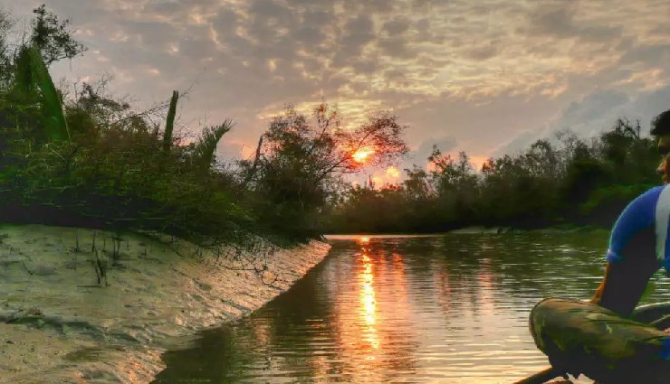 trekking near kolkata,sundarbans national park trek,sandakphu-phalut trek,singalila national park trek,neora valley national park trek,buxa tiger reserve trek,gorumara national park trek,garh panchkot trek,ayodhya hills trek,susunia hill trek,jaldapara national park trek,trekking destinations near kolkata,adventure sports kolkata,nature trails near kolkata