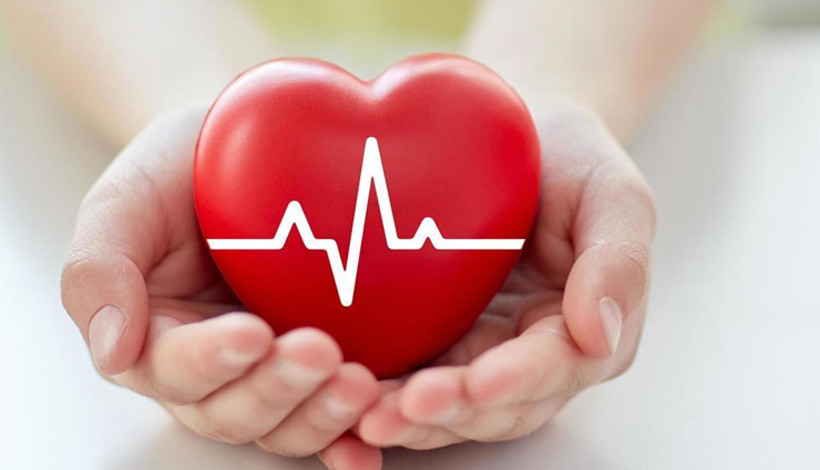 sunflower seeds,health benefits of sunflower seeds,Health tips,fitness tips