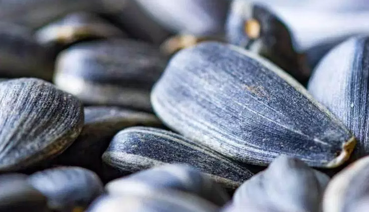 immunity system,immune system,vitamins,food that increase immunity system,immunity,Health,Health tips