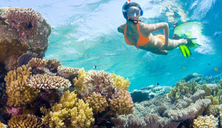 Your Sunscreen is Harming Marine Life in a Big Way