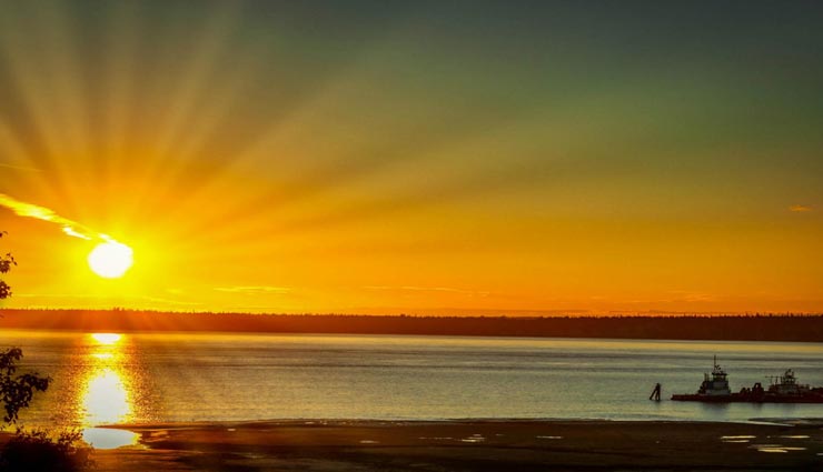 भूल से भी ना लगाएं घर में ये पेंटिंग, बनती है आपकी तरक्की में रूकावट vastu tips in hindi,painting brings negative energy,negativity in life