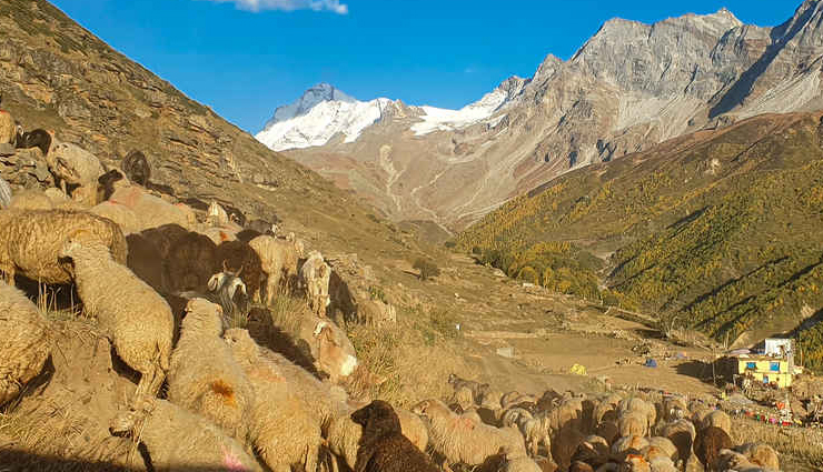 pangi valley tourist places,must-visit attractions in pangi valley,explore pangi valley top tourist spots,scenic destinations in pangi valley,best places to visit in pangi valley,pangi valley travel guide,hidden gems of pangi valley,tourist attractions in and around pangi valley,unexplored beauty of pangi valley,pangi valley sightseeing spots