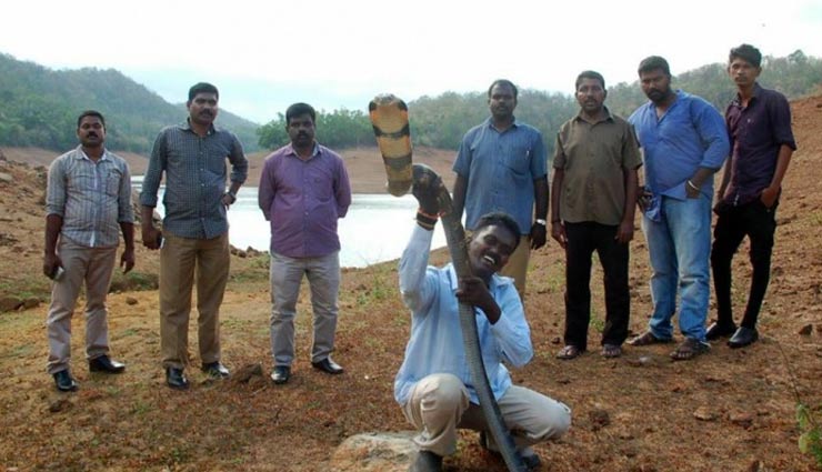 india,kerala,a man who has rescued 113 king cobras,vava suresh,wildlife conservationist