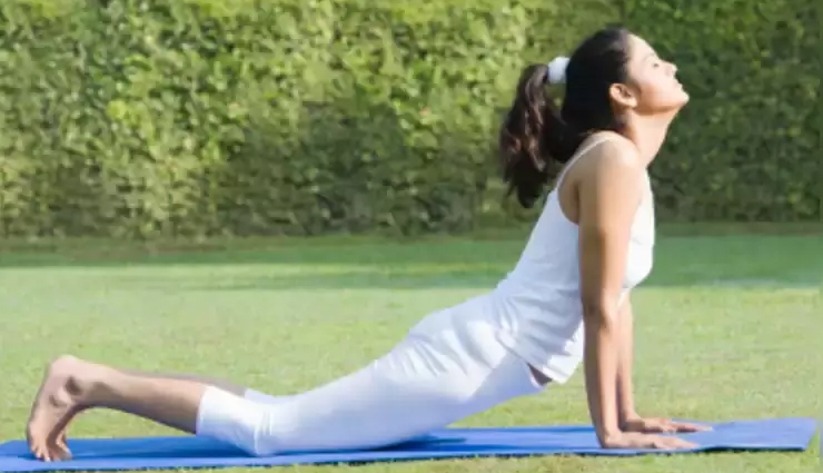 surya namaskar benefits,why doing surya namaskar is essential,healthy living,Health tips