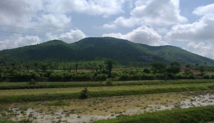 trekking near kolkata,sundarbans national park trek,sandakphu-phalut trek,singalila national park trek,neora valley national park trek,buxa tiger reserve trek,gorumara national park trek,garh panchkot trek,ayodhya hills trek,susunia hill trek,jaldapara national park trek,trekking destinations near kolkata,adventure sports kolkata,nature trails near kolkata