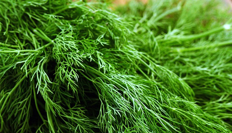 breastfeeding superfoods,best foods for nursing mothers,superfoods for lactating moms,nutrient-rich foods for breastfeeding,healthy foods for nursing mothers,superfoods to boost lactation,foods to enhance breast milk,nutritious diet for breastfeeding moms,lactation-boosting superfoods,essential foods for breastfeeding mothers,breastfeeding diet superfoods,superfoods for milk production,foods rich in nutrients for lactating moms,superfoods to improve breast milk quality,lactation-boosting diet,breastfeeding nutrition superfoods,foods for enhancing lactation,top superfoods for nursing mothers,nourishing superfoods for breastfeeding moms,superfoods for postpartum nutrition