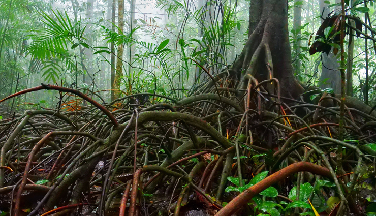 offbeat destinations in india,travel destinations,holidays,tourism