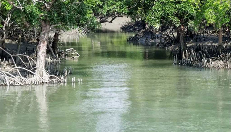 unexplored places of india,india,salt desert of rann,trap of forest hill caves,swamp forest sundarbans,himalayan ice mountains,ocean of arid sand