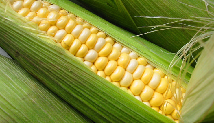 sweet corn masala curry,sweet corn masala curry recipe,recipe,corn recipe