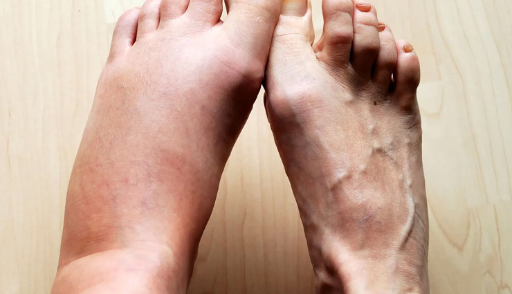 रोजमेरी है बड़े कमाल की चीज, हेल्थ बेनिफिट्स जानकर आप भी हो जाएंगे हैरान health benefits of rosemary,benefits of rosemary,rosemary health benefits,rosemary for health,rosemary nutritional benefits,rosemary uses for health,benefits of rosemary for the body,rosemary wellness benefits,medicinal uses of rosemary,rosemary herbal benefits