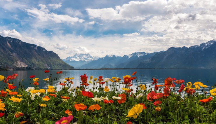 spring destinations around the world,international spring travel spots,japan cherry blossoms spring,netherlands tulip fields spring,washington d.c. cherry blossom festival,south korea spring blossom festival,switzerland springtime beauty,best places to visit in spring,spring travel experiences worldwide,top spring destinations for nature lovers