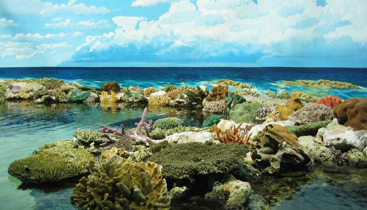 sydney,australia,major attractions of sydney,tourism,holidays,travel,sydney tourism