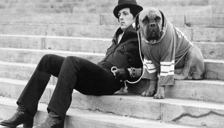 आखिर क्यों इस हॉलीवुड सुपर स्टार ने 23 लाख के नुकसान से ख़रीदा कुत्ता, कारण आँखों में आंसू ला देगा