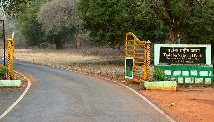 national parks in india,jungle safari in india,wildlife sanctuaries in india,best national parks for jungle safari,wildlife tourism in india,top wildlife destinations in india,best national parks for wildlife photography,bird watching in national parks of india,jeep safari in indian national parks,wildlife adventure in india