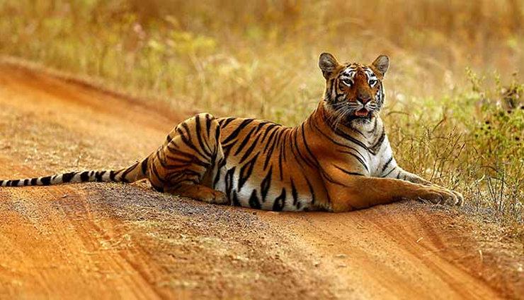 national parks of the country to see extinct animals,holidays,travel,tourism