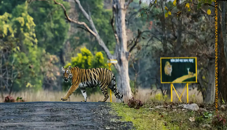 tourist places near nagpur,best places to visit near nagpur,kanha national park near nagpur,bhimbetka caves near nagpur,hill stations near nagpur,wildlife sanctuaries near nagpur,lonar lake near nagpur,historical places near nagpur,trekking near nagpur,pilgrimage sites near nagpur,weekend getaways from nagpur,national parks near nagpur,nagpur tourist spots,best destinations near nagpur,nagpur travel guide