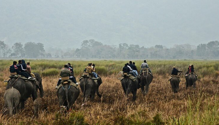 वाइल्डलाइफ फोटोग्राफर्स के लिए किसी जन्नत से कम नहीं है भारत की ये 10 जगहें, विदेशों से भी आते है लोग wildlife photography in india,best places for wildlife photography,wildlife photography destinations in india,top wildlife photography spots in india,wildlife photography tips,indian wildlife photography hotspots,wildlife sanctuaries in india,national parks for photography in india,wildlife photography tours in india,indian wildlife photography guide,best locations for wildlife photography in india,wildlife photography in western ghats,tiger photography in india,bird photography in india