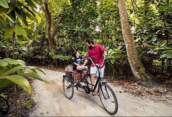 पापा सैफ संग यूं मस्ती कर रहे है Taimur Ali Khan, बिना टीशर्ट के यूं घूमते आए नजर... देखें Photos bollywood,taimur ali khan,kareen kapoor,saif ali khan,south africa,taimur ali khan birthday celebration