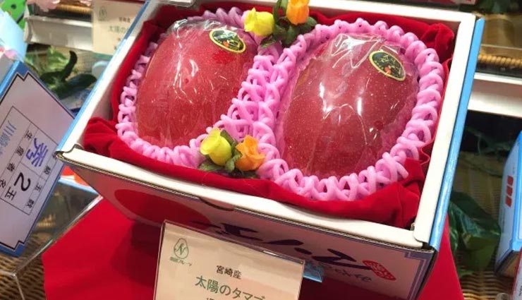 world expensive mango,taiyo no tamago,taiyo no tamago expensive mango,costliest mango in the world japan taiyo no tamago,most expensive fruits in the world,weird news
