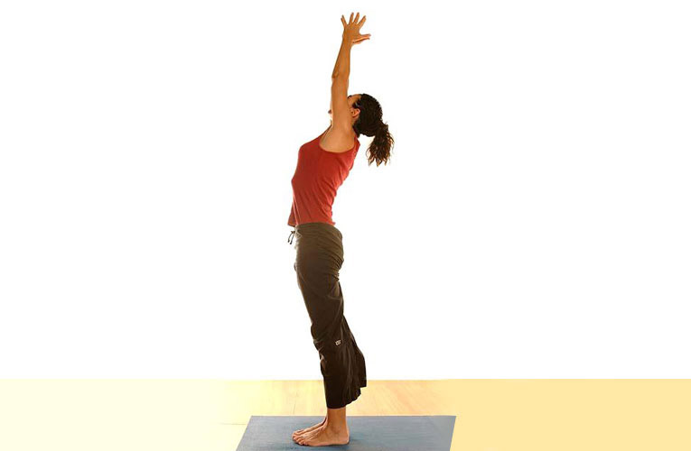 surya namaskara,hastapadasana,sukhasana,chakrasana,talasana,yoga poses to increase height,yoga poses,Health tips,healthy living
