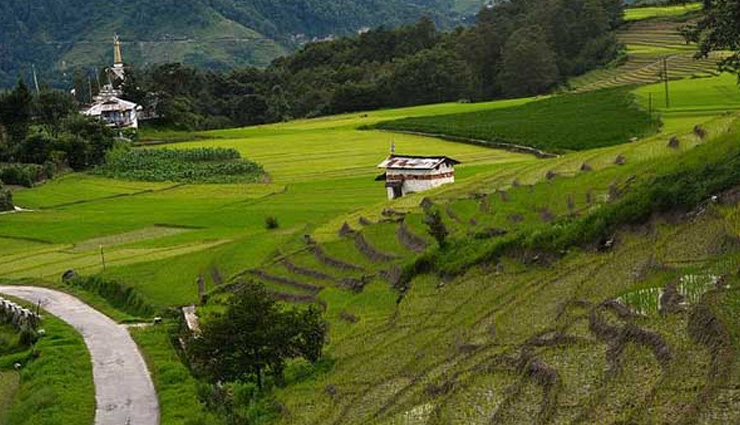 arunachal pradesh,ziro vallery,tourist destination ziro vallery,arunachal pradesh tourism,holidays in ziro valley