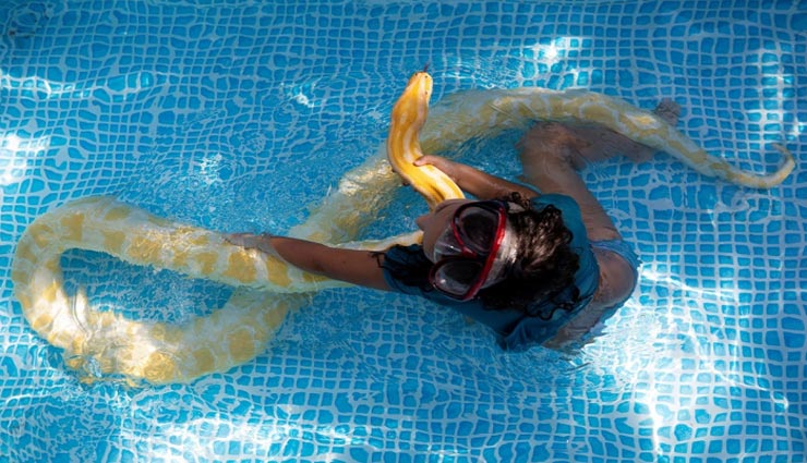 weird news,weird incident,weird friend,11 foot tall pet python