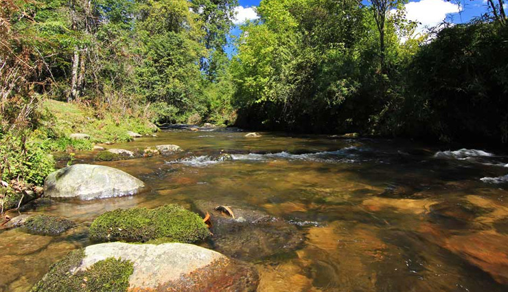 jungle,jungle adventure,jungle safari