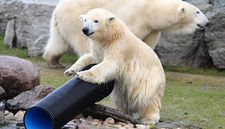 the russalka memorial,freedom square,kadriorg park,tallinn zoo,toompea hill,oleviste church,tallinn old,tallinn,tourist places in tallinn,attractions in tallinn