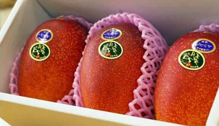 expensive fruit,weird story