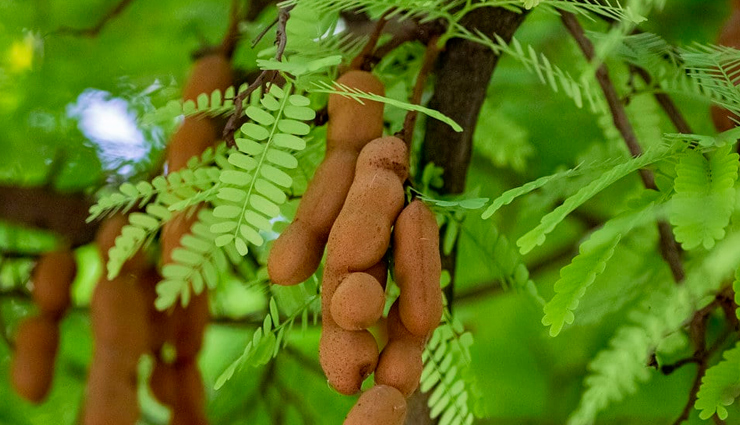 leg sprain,home remedies for leg sprain,leg sprain relief,natural remedies for leg sprain,treating leg sprain at home,leg injury home treatment,leg sprain recovery tips,leg sprain management,leg pain relief remedies,healthy living tips,health tips in hindi,home remedies for pain relief,ayurvedic remedies for leg sprain,leg sprain treatment at home,home care for leg injuries,preventing leg sprains,leg sprain exercises,herbal remedies for leg sprain,leg sprain prevention,leg pain relief tips