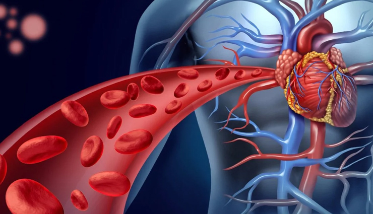 health benefits of tamarind you must know,Health,healthy living