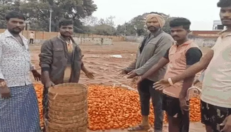 थोक में 4 रुपये किलो पहुंचा टमाटर, सड़कों पर फेंक रहे किसान