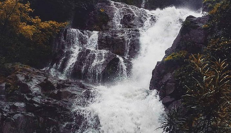 goa waterfalls,best waterfalls in goa,dudhsagar waterfall goa,beautiful waterfalls in goa,top waterfalls in goa,must-visit waterfalls goa,goa nature spots,goa trekking waterfalls,goa waterfall tour,goa hidden waterfalls,kesarval waterfall,tambdi surla waterfall,bamanbudo waterfall,kuskem waterfall,arvalem waterfall,charavane waterfall.