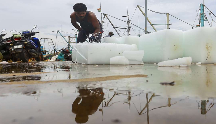 तमिलनाडु मौसम: पश्चिमी घाट में भारी बारिश का अनुमान, वन विभाग ने पर्यटकों के लिए जारी की सलाह