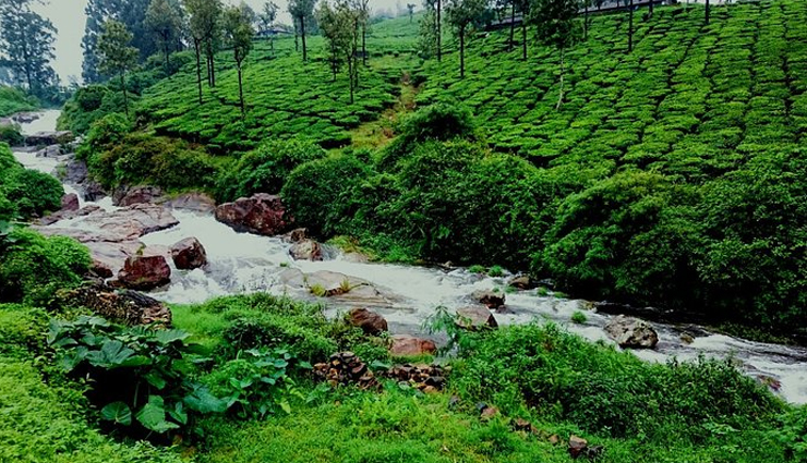 tamil nadu,least popular hill stations to visit in tamil nadu,hill stations in tamil nadu,yelagiri,yercaud,valparai,kolli hills or kolli malai